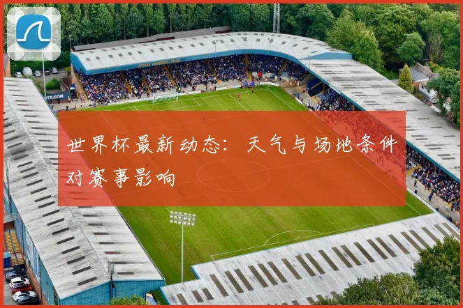 世界杯最新动态：天气与场地条件对赛事影响