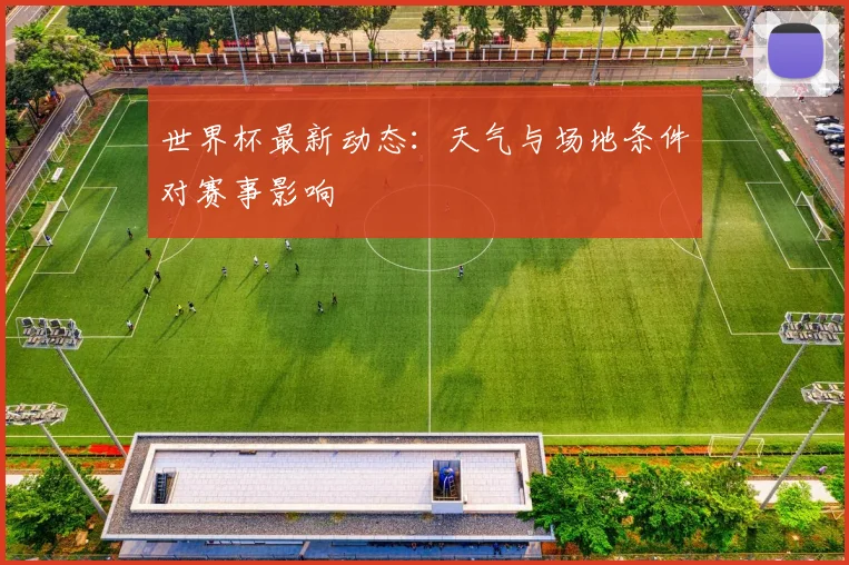 世界杯最新动态：天气与场地条件对赛事影响