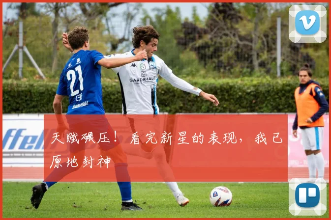 天赋碾压！看完新星的表现，我已原地封神