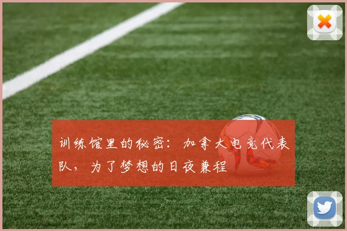 训练馆里的秘密：加拿大电竞代表队，为了梦想的日夜兼程